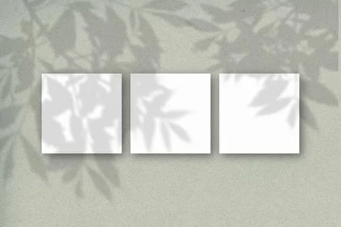 3 square sheets of white textured paper against a gray-green wall. Mockup Stock Illustration