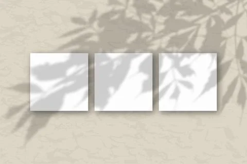 3 square sheets of white textured paper against a gray-green wall. Mockup Stock Illustration