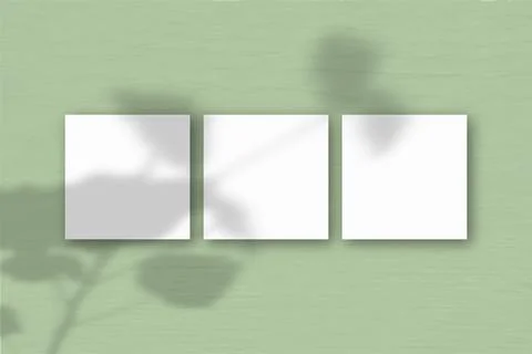 3 square sheets of white textured paper on the green wall background. Mockup  Stock Illustration