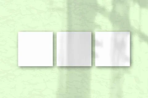 3 square sheets of white textured paper on the green wall background. Layout  Stock Illustration
