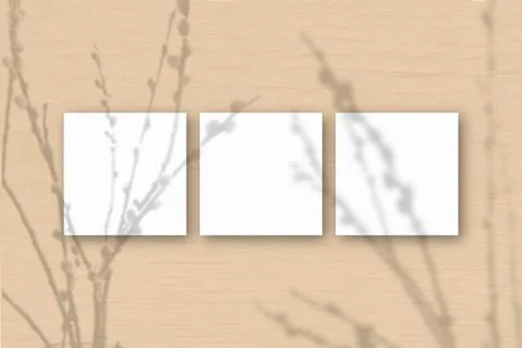 3 square sheets of white textured paper on the orange wall background. Mockup Stock Illustration