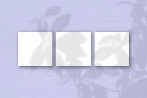 3 square sheets of white textured paper on the lilac wall background. Mockup  Stock Illustration