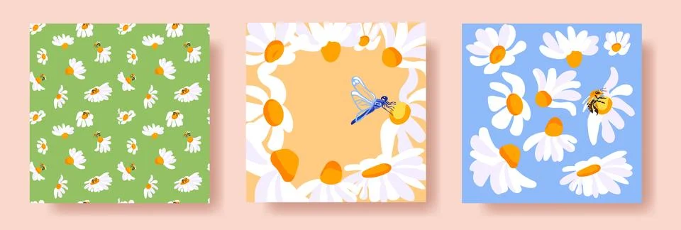 3 Summer Square Posters Daisies Bee Dragonfly White Yellow Frame Green Pattern Stock Illustration