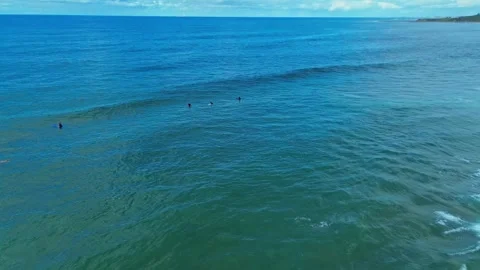 3 Surfers Waiting For Some Waves Stock Footage 311644767