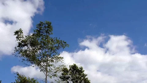 3 time lapses. Sky and cloud.  Video stock 102382305