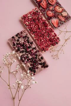 3 types of chokolate bar - raw dessert with dry berries Stock Photos
