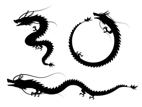 3 types of cool dragon silhouettes. Stock Illustration