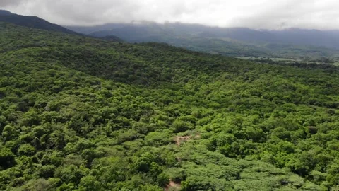 3 VARIOS Stock Footage 136203882