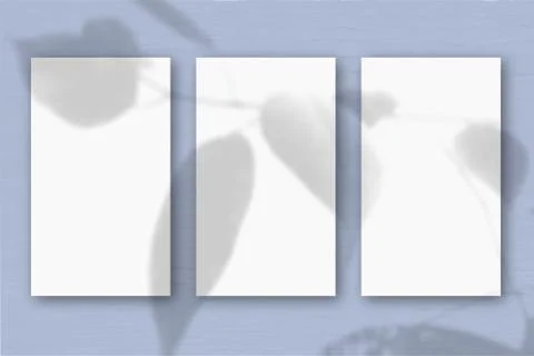 3 vertical sheets of textured white paper on soft blue table background. Stock Illustration
