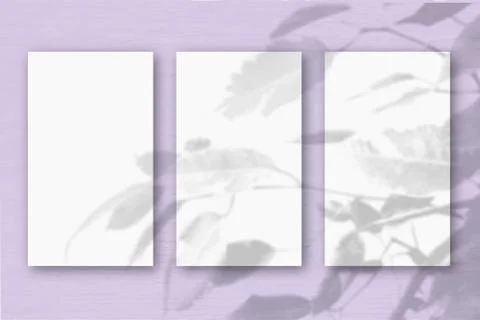 3 vertical sheets of textured white paper on soft lilac table background. Moc Stock Illustration
