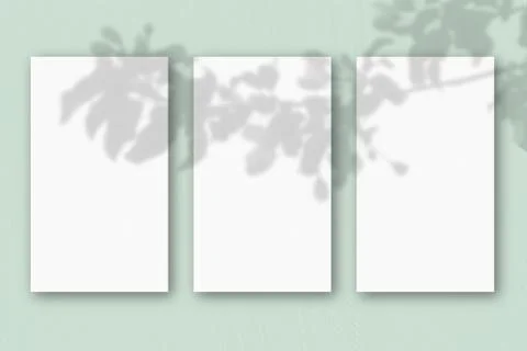3 vertical sheets of textured white paper on light green table background. Mo Illustrazione stock