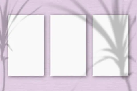 3 vertical sheets of textured white paper on soft pink green table background Stock-Illustration