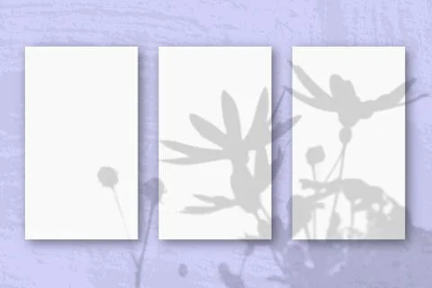 3 vertical sheets of textured white paper on soft blue table background. Mock Stock Photos