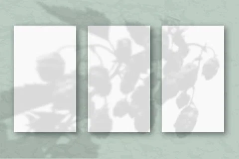 3 vertical sheets of white textured paper on a pastel green blue wall background Stock Illustration