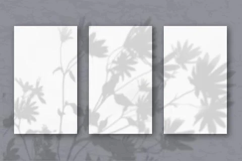 3 vertical sheets of white textured paper on a pastel grey wall background Stock Illustration