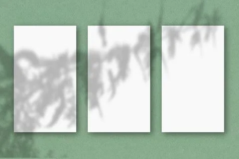 3 vertical sheets of white textured paper on a green wall background. Mockup Stock Illustration
