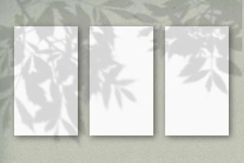 3 vertical sheets of white textured paper on a pastel green wall background Stock Illustration