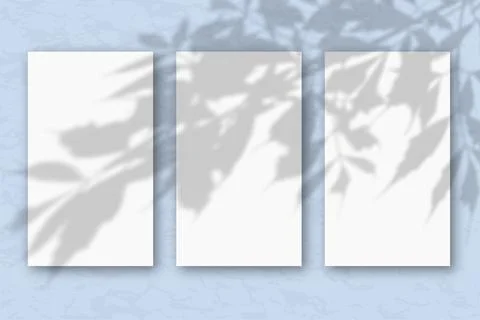 3 vertical sheets of white textured paper on a pastel blue wall background Stock Illustration