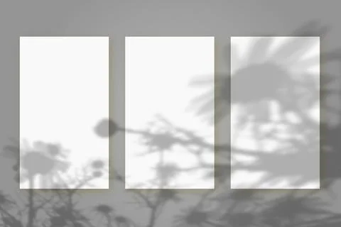 3 vertical sheets of white textured paper against a gray wall background. Mock Stock Illustration