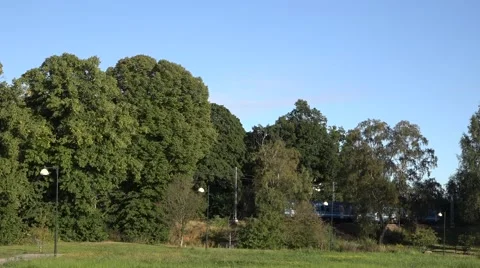 3-wagon Roslagsbanan train passes by behind trees as seen from Botanical Garden Stock Footage 67384792