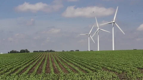 3 wind turbines right side in green row-crop Stock Footage 104516288