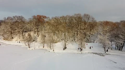 3 winter flight, quadcopter, trees, slide, slide ride, sun, top view, frost, Stock Footage 265237295