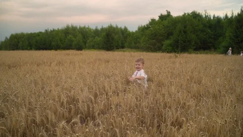 3 year caucasian Boy Running On Golden Wheat Field, Slow Motion. Stockbeeldmateriaal 115261845