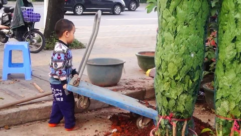 3 year old boy pushed the cart Stock Footage 70035824