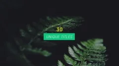 30 Corporate Titles Stock After Effects