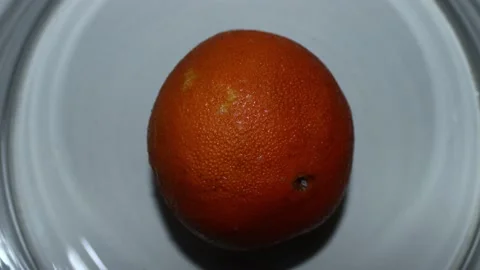 30 days long time lapse of rotting orange Stock Footage 150515834
