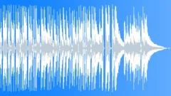 30 Sec Blues Slide Guitar, Delta Blues, Performed by skilled Guitarist, Fast 24 Stock Music