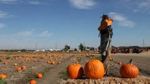 30 Sec Pumpkin Patch Train Ride.mp4 Stock Footage 9167805
