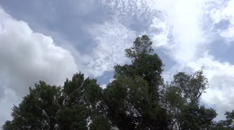 30 second, 60fps, timelapse of clouds moving over trees in afternoon Video stock 51843094