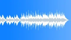 30 Second Positive Business Theme Stock Music