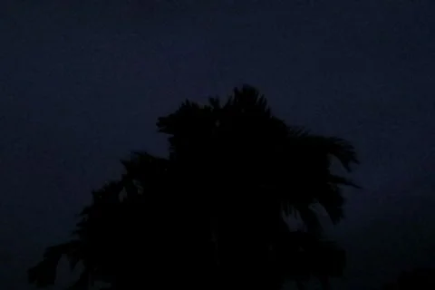 30 seconds Palm Tree Thunderstorm 4x3 Stock Footage 8687699