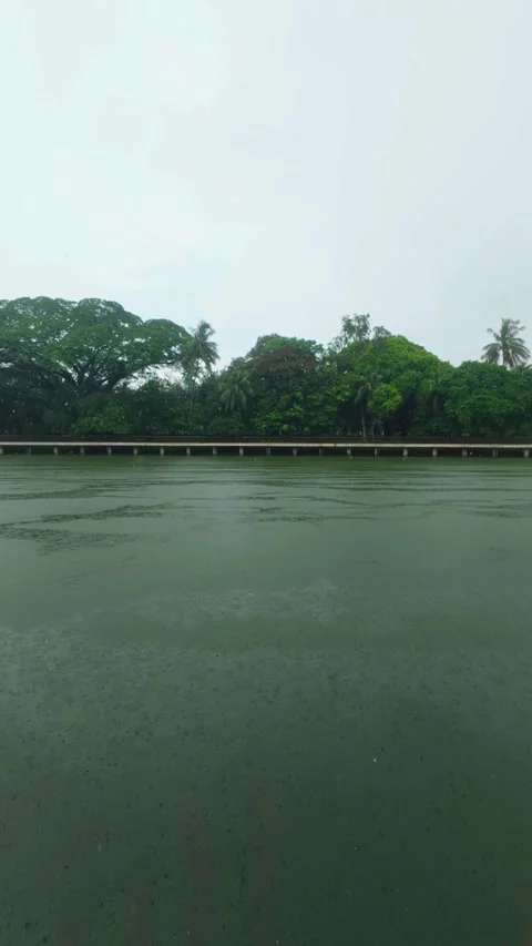 30 Vertical Rainfall View Over Lake with Trees and Wooden Bridge Stock Footage 313648843