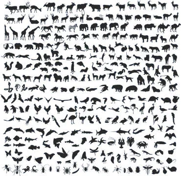 300 animals Stock Illustration