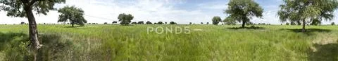 300 degree panorama of south sudan Stock Photos