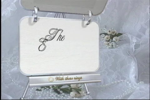 3004L The Engagement Stock Footage 774378