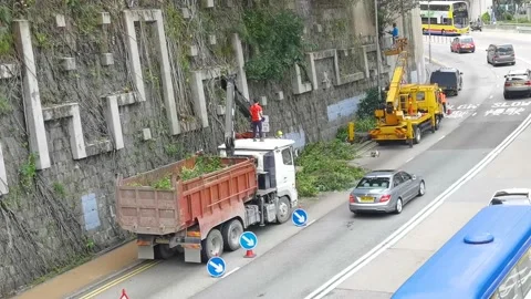 30/10/2020 Workers on a mobile mechanical car lift cut dangerous trees at ret Stock Footage 142201148