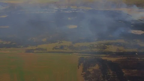 3.09 Controlled Burn Tracking Right Along Field 001110 Stock Footage 90257957