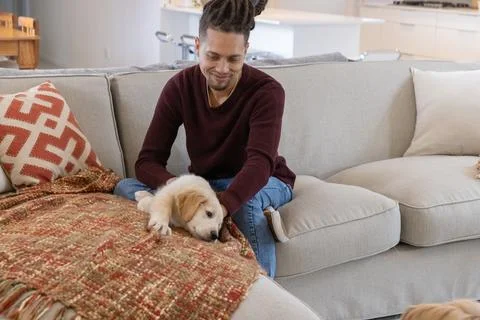 30s man with dreadlocks sitting on light gray sectional sofa wearing burgundy Stock Photos