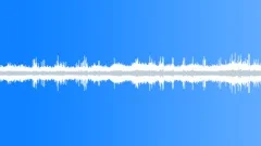 30secBirdsBeesDogLOOP Sound Effect