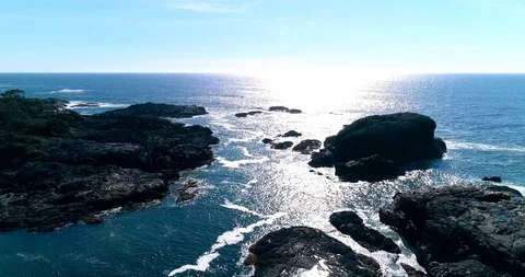 31 Stock Footage 91372500