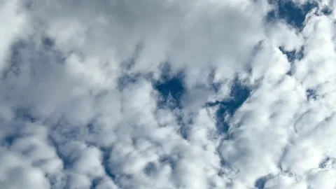 3103626489 original Video stock 221265356