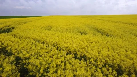 31.0526 Stock Footage 196000098