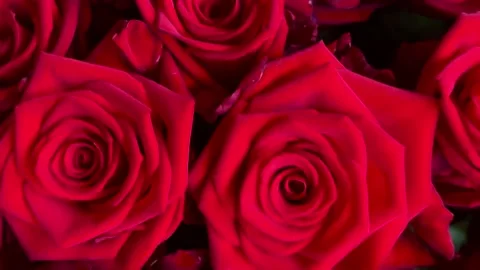 3111633597 original Video stock 221264948