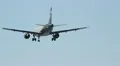 A 319 aircraft airline Aeroflot, landing in the airport HD Footage