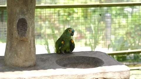 31qqq Stock Footage 305622988