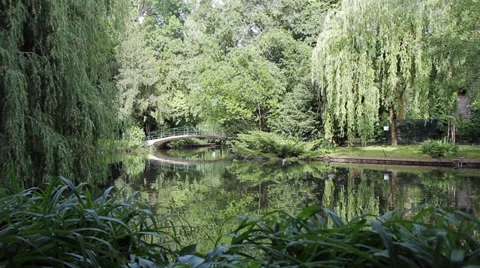 32 Park idyll. A bridge over pond lake. Weeping willows. Stock Footage 39388822